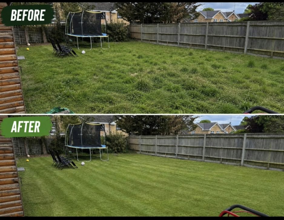 GARDEN MAINTENANCE IN GLASGOW. COMPLETE GRASS CARE &LAWN MAINTENANCE  GUIDE - grass and garden maintenance advice